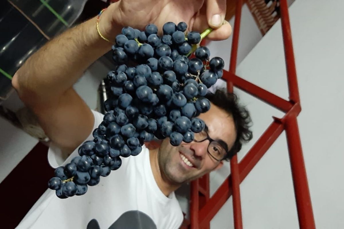 Winery DeSalva02