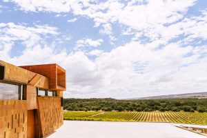 Montelareina Winery01