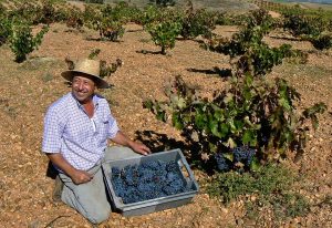 carrusel-terraduro-10